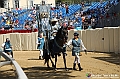 VBS_0678 - Palio di Asti 2024